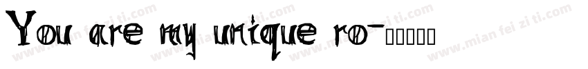 You are my unique ro字体转换